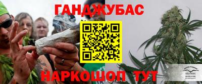 дживик Аша
