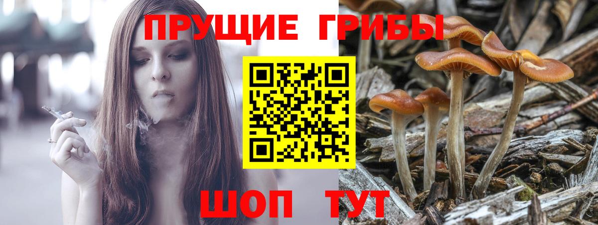 Белово  Галлюциногенные грибы ЛСД  Вход с VPN 