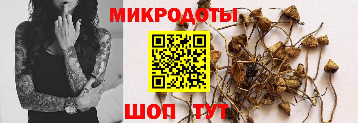 Галлюциногенные грибы Cubensis Белово